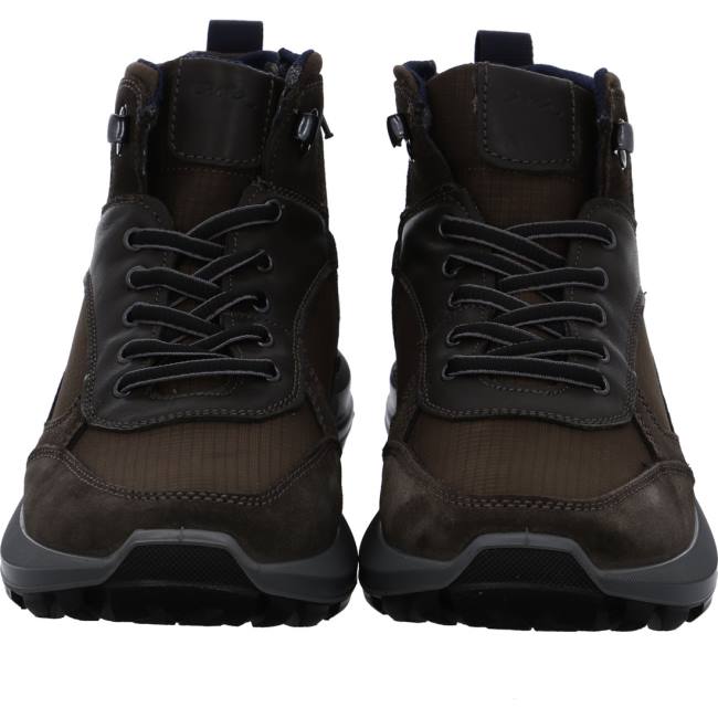 Ara Shoes Ankle Mauro Caffee Men's Boots Brown | ARA620MPH