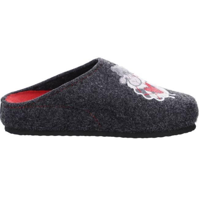 Ara Shoes Cosy Anthracite Women's Slippers Grey | ARA780NPG