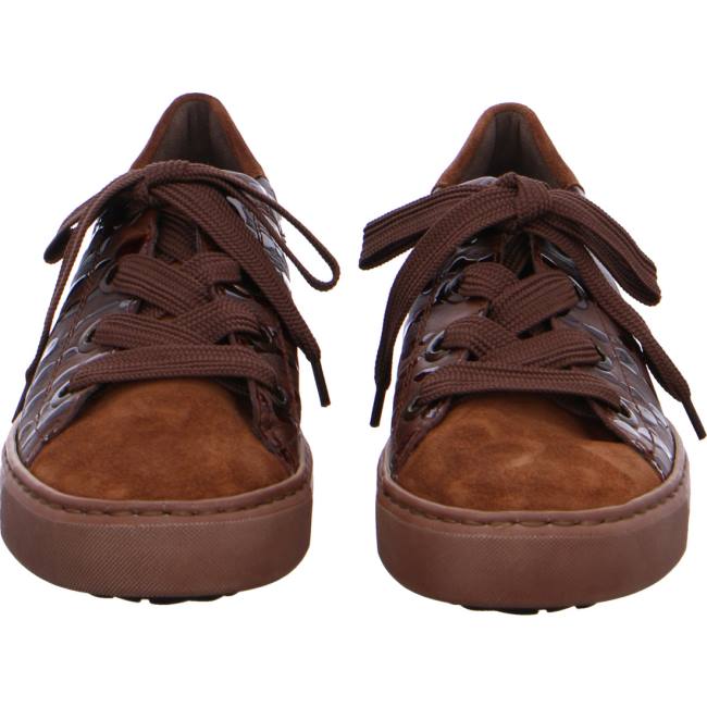 Ara Shoes Courtyard Women's Trainers Brown | ARA956UOZ