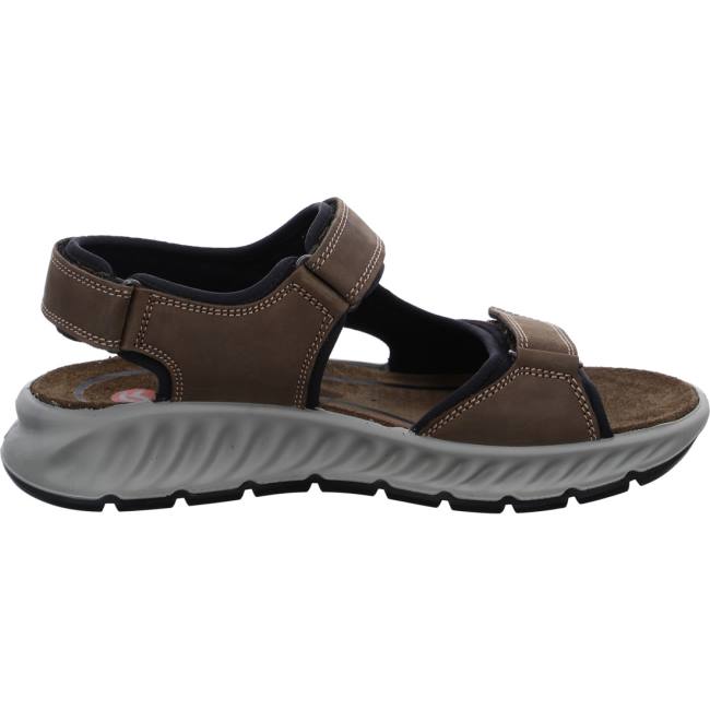 Ara Shoes Elias Moro Men's Sandals Brown | ARA061KGT