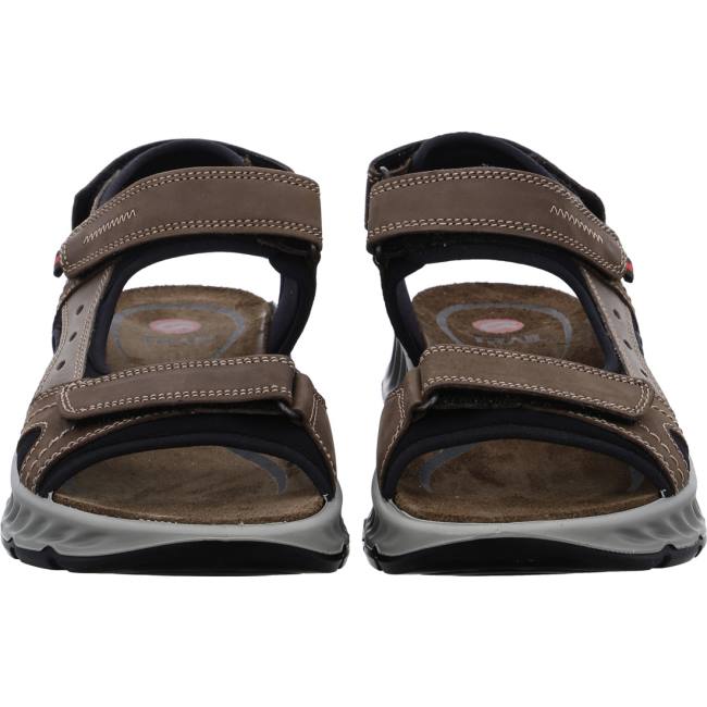 Ara Shoes Elias Moro Men's Sandals Brown | ARA061KGT