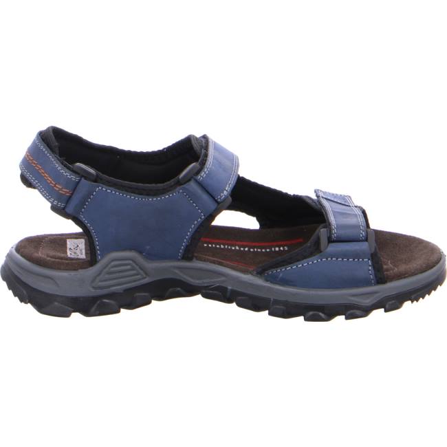 Ara Shoes Ericsen Men's Sandals Blue | ARA280WUT