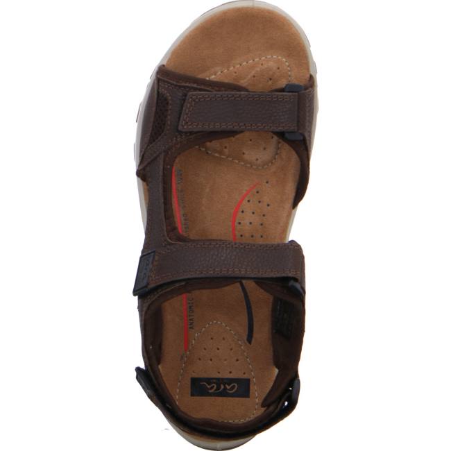 Ara Shoes Ericsen Men's Sandals Brown | ARA043MTP