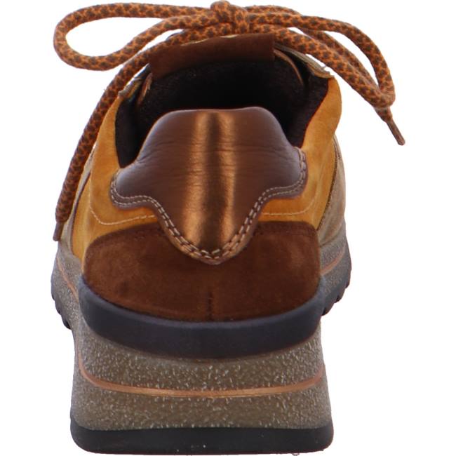 Ara Shoes Lace-ups Osaka Women's Trainers Brown | ARA253PMB