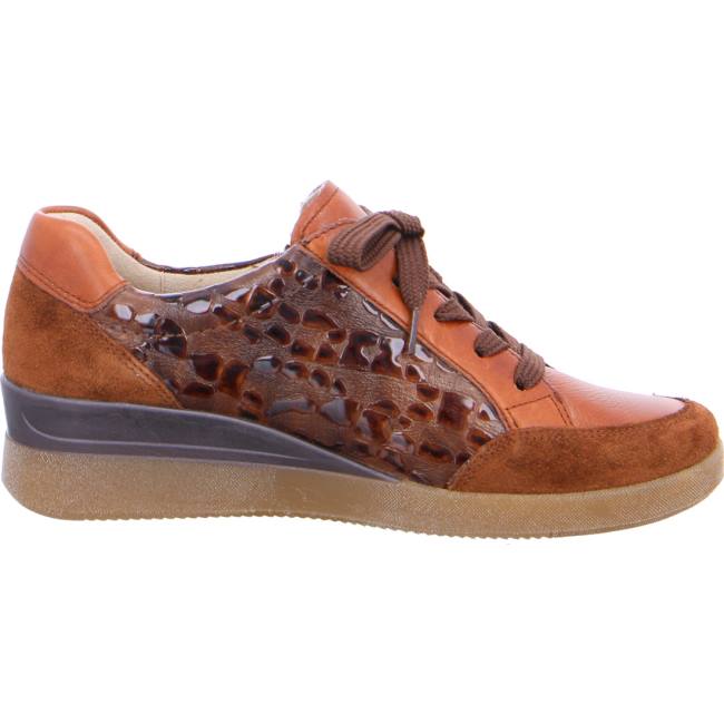 Ara Shoes Lazio Women's Trainers Brown | ARA457TKW