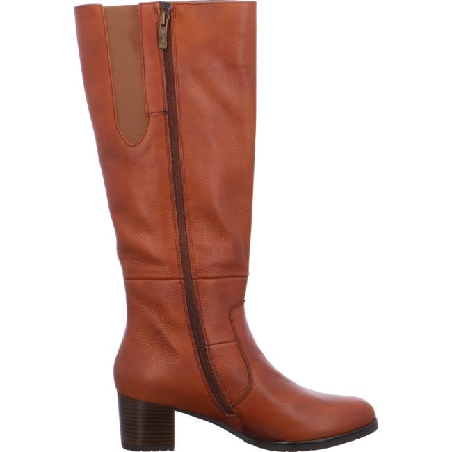 Ara Shoes Long Florenz Women's Boots Brown | ARA723AUR