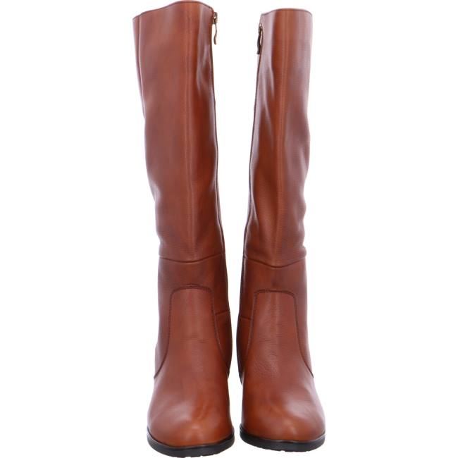 Ara Shoes Long Florenz Women's Boots Brown | ARA723AUR