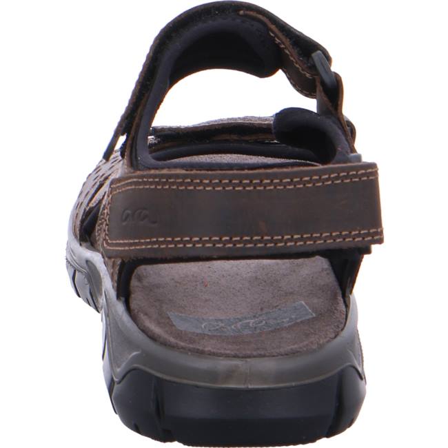 Ara Shoes Lucca Moro Men's Sandals Brown | ARA167TLE