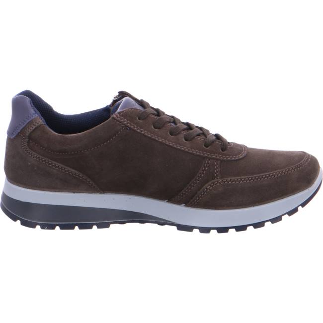 Ara Shoes Matteo Caffee Men's Trainers Brown | ARA851MXG