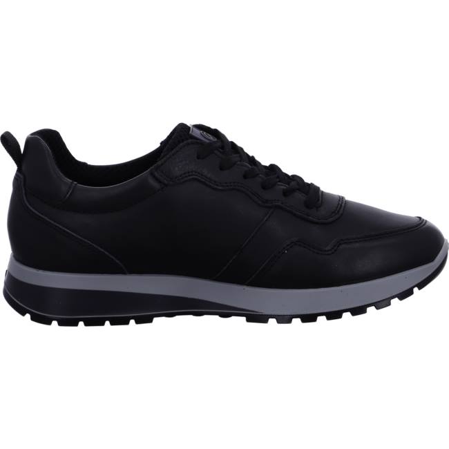 Ara Shoes Matteo Men's Trainers Black | ARA970UAV