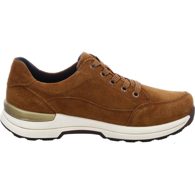 Ara Shoes Nnuts Women's Trainers Brown | ARA427CJH