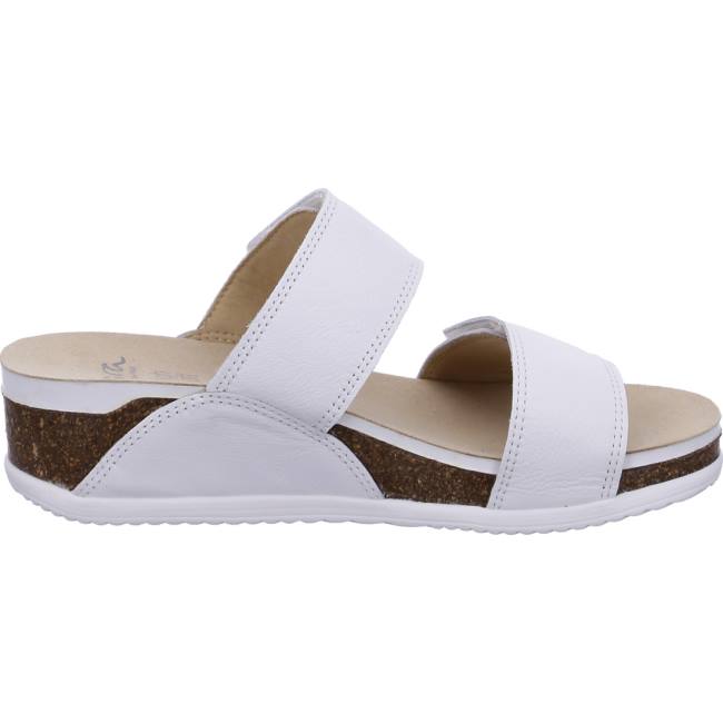 Ara Shoes Norderney Women's Mules White | ARA354ZWF