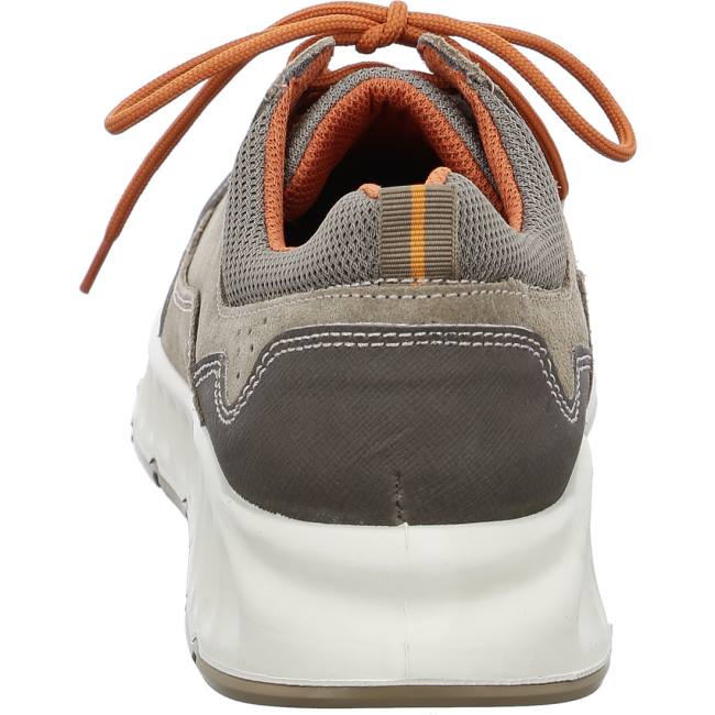 Ara Shoes Paolo Men's Trainers Beige | ARA208JRW