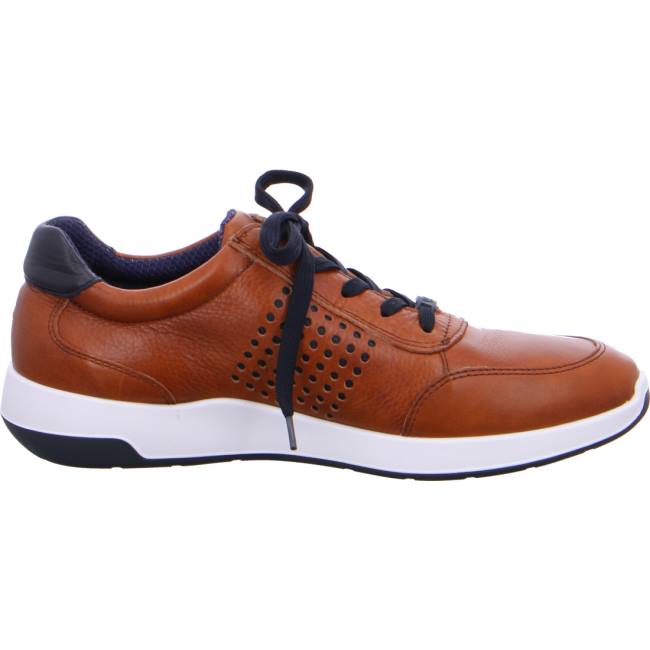 Ara Shoes Patrick Men's Trainers Brown | ARA109HVW